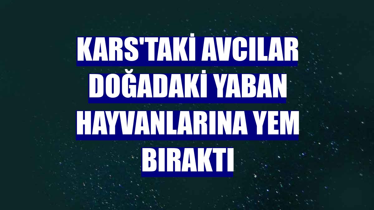 Kars'taki avcılar doğadaki yaban hayvanlarına yem bıraktı