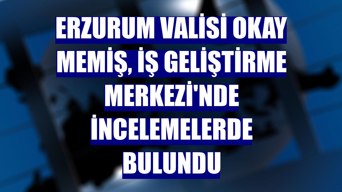 Erzurum Valisi Okay Memiş, İş Geliştirme Merkezi'nde incelemelerde bulundu