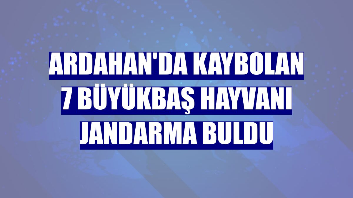 Ardahan'da kaybolan 7 büyükbaş hayvanı jandarma buldu