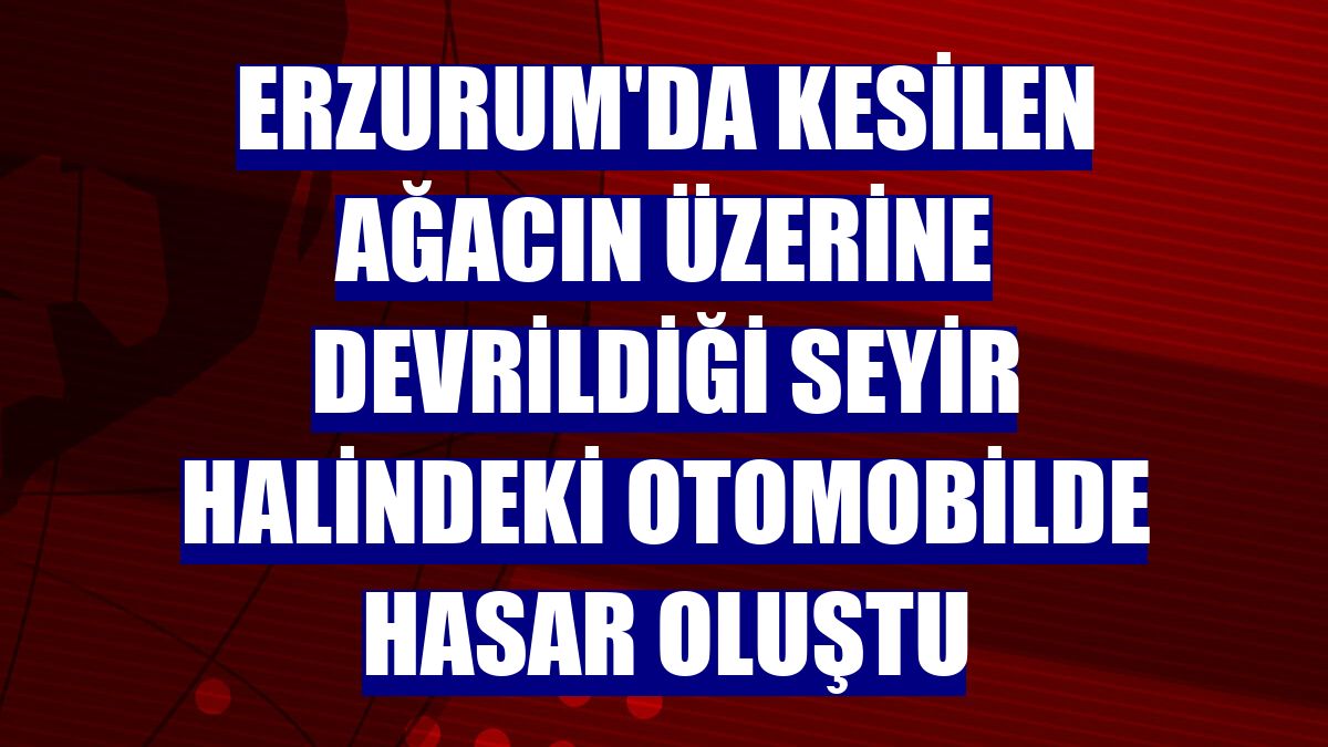 Erzurum'da kesilen ağacın üzerine devrildiği seyir halindeki otomobilde hasar oluştu