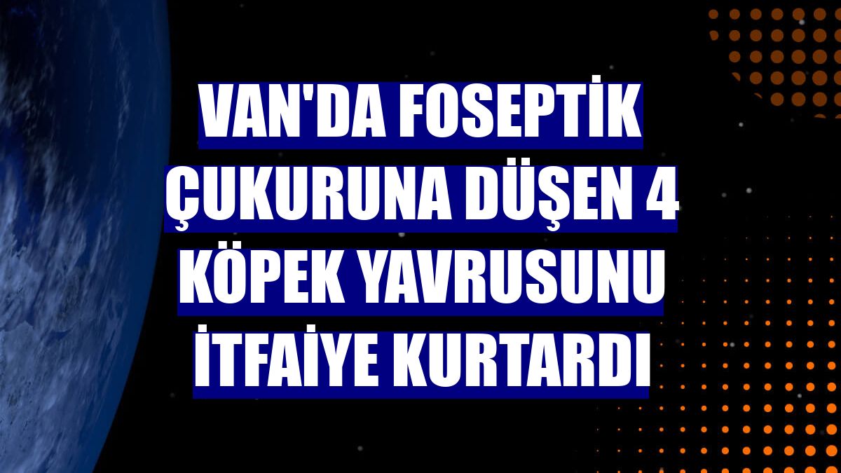 Van'da foseptik çukuruna düşen 4 köpek yavrusunu itfaiye kurtardı