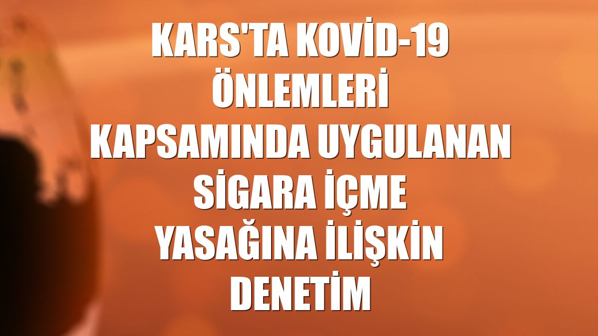 Kars'ta Kovid-19 önlemleri kapsamında uygulanan sigara içme yasağına ilişkin denetim