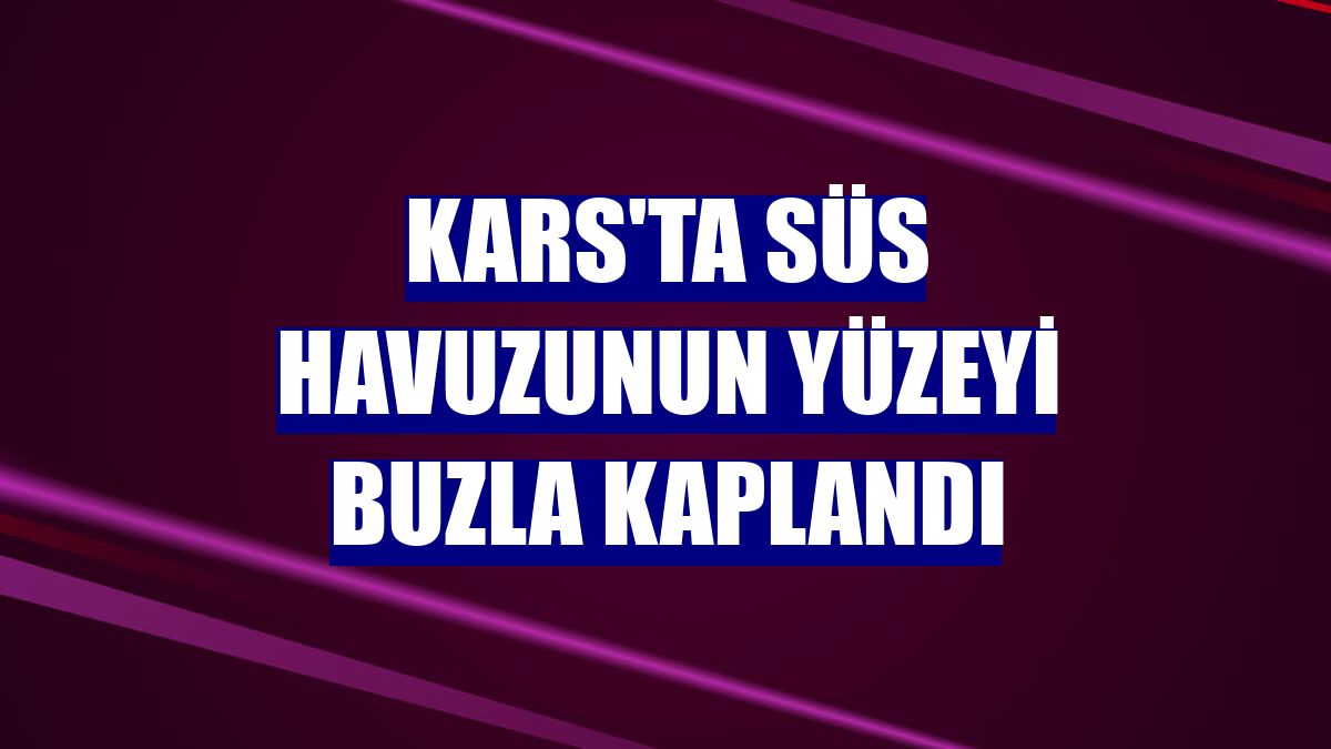 Kars'ta süs havuzunun yüzeyi buzla kaplandı