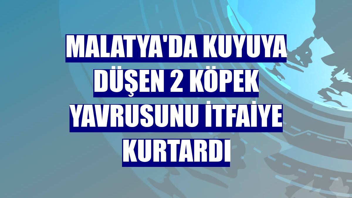 Malatya'da kuyuya düşen 2 köpek yavrusunu itfaiye kurtardı
