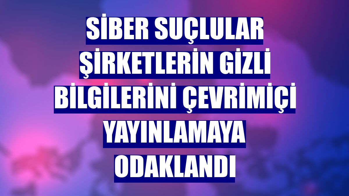 Siber suçlular şirketlerin gizli bilgilerini çevrimiçi yayınlamaya odaklandı
