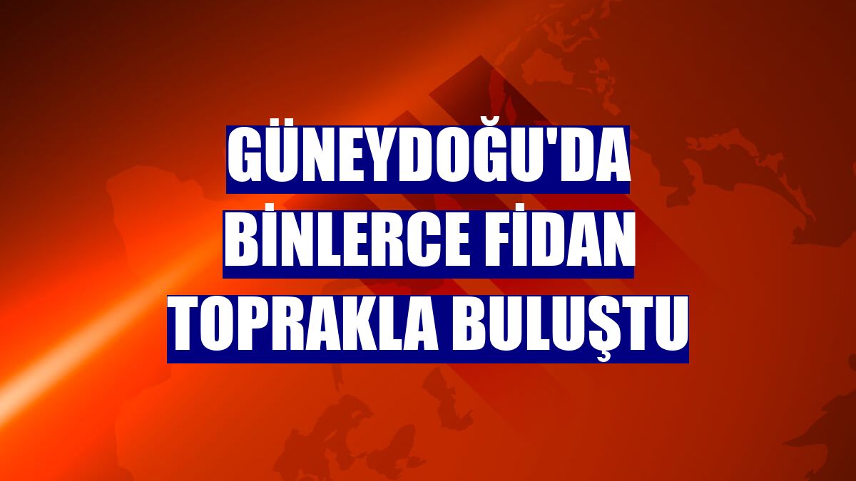 Güneydoğu'da binlerce fidan toprakla buluştu