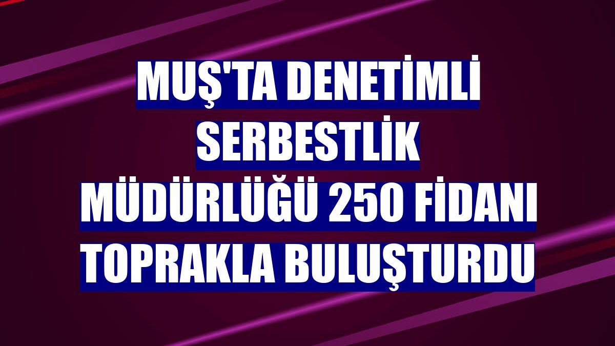 Muş'ta Denetimli Serbestlik Müdürlüğü 250 fidanı toprakla buluşturdu