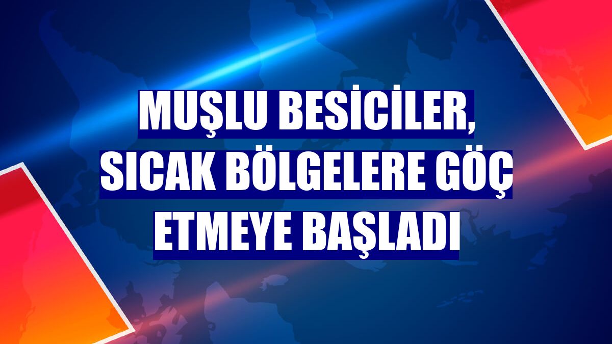 Muşlu besiciler, sıcak bölgelere göç etmeye başladı