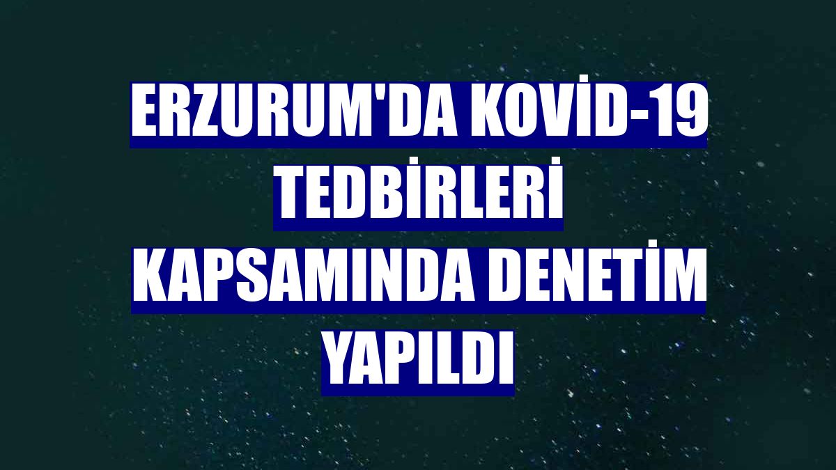 Erzurum'da Kovid-19 tedbirleri kapsamında denetim yapıldı