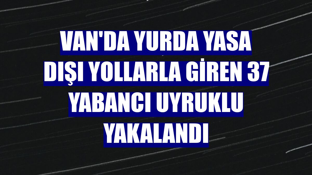 Van'da yurda yasa dışı yollarla giren 37 yabancı uyruklu yakalandı