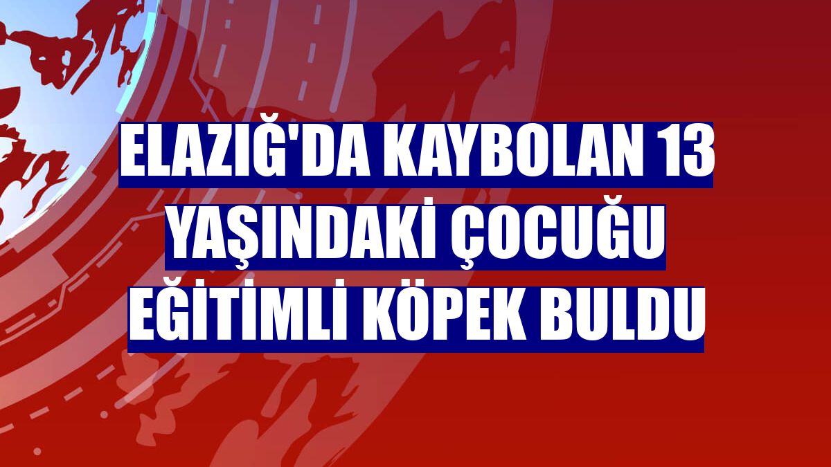 Elazığ'da kaybolan 13 yaşındaki çocuğu eğitimli köpek buldu