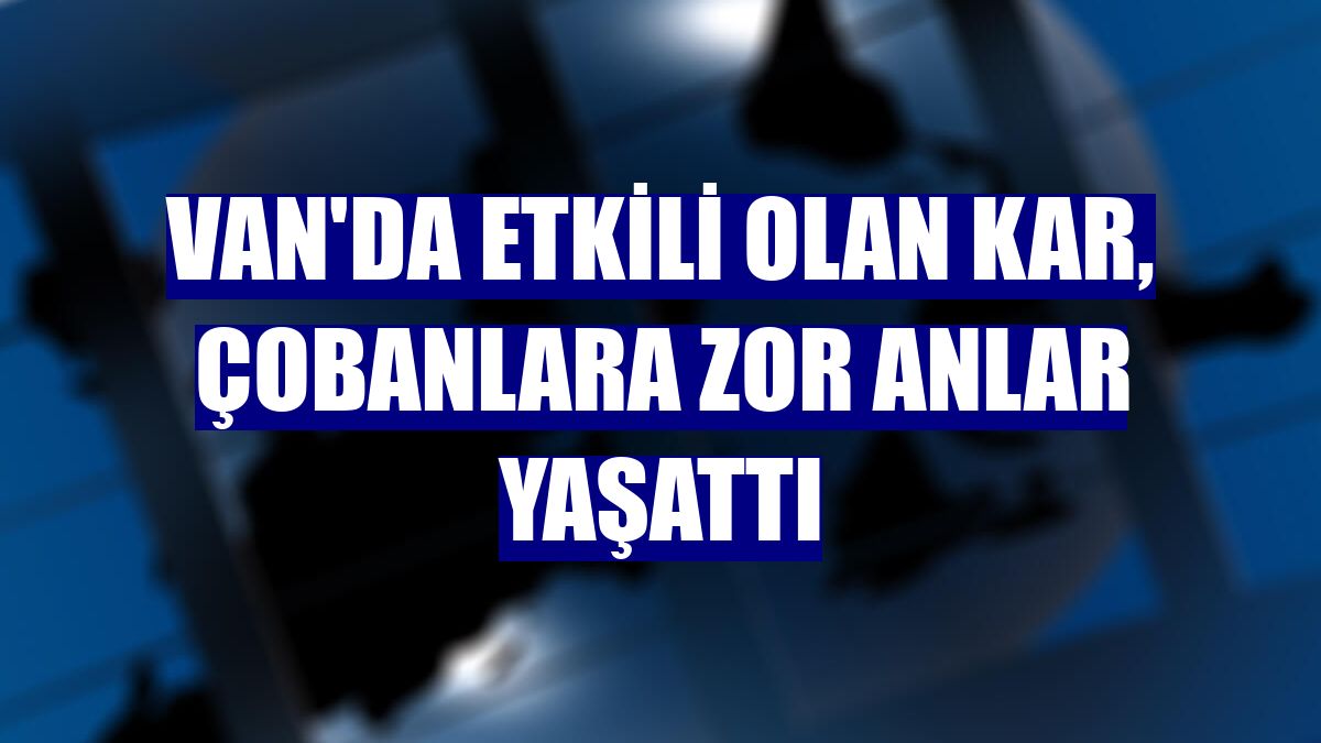 Van'da etkili olan kar, çobanlara zor anlar yaşattı
