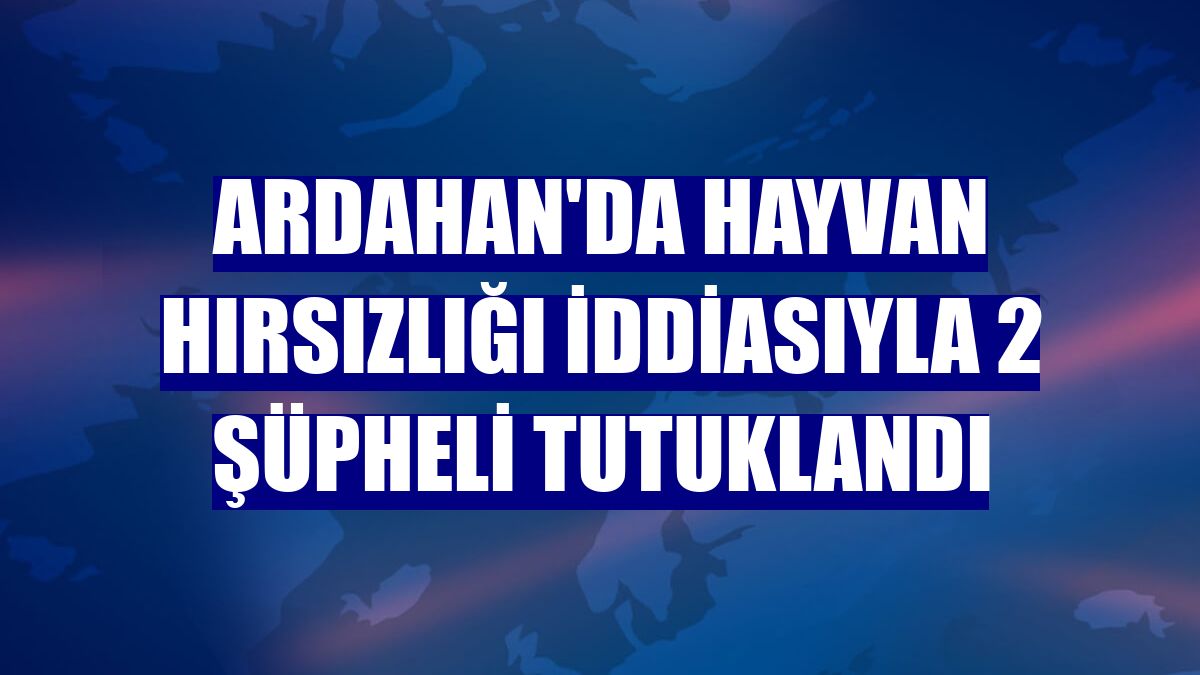 Ardahan'da hayvan hırsızlığı iddiasıyla 2 şüpheli tutuklandı