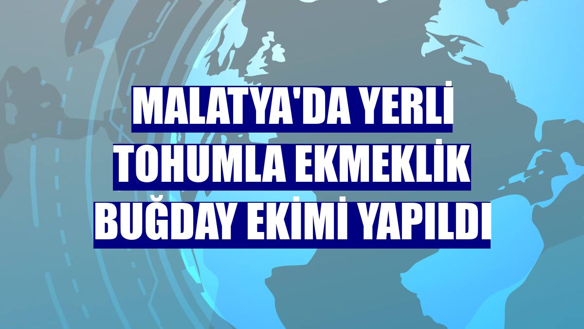 Malatya'da yerli tohumla ekmeklik buğday ekimi yapıldı