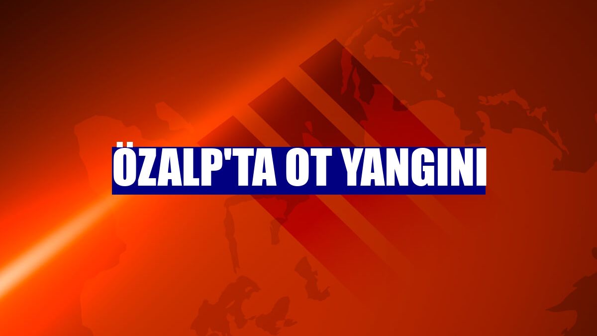 Özalp'ta ot yangını