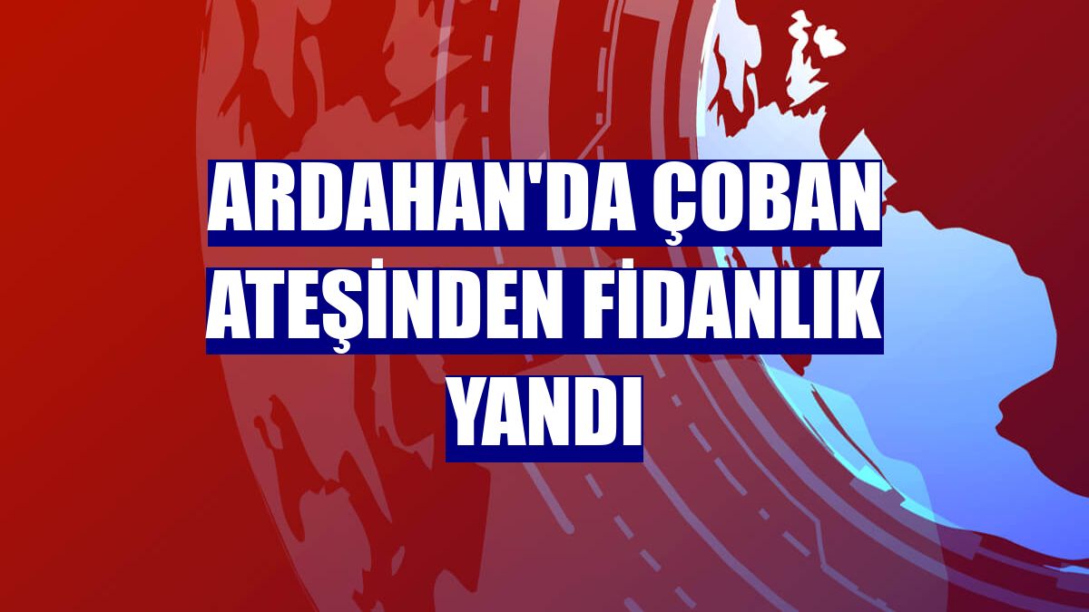 Ardahan'da çoban ateşinden fidanlık yandı