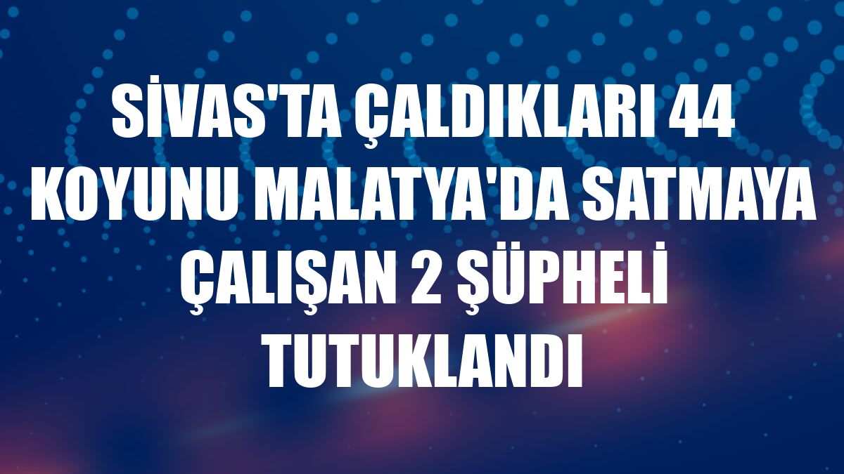Sivas'ta çaldıkları 44 koyunu Malatya'da satmaya çalışan 2 şüpheli tutuklandı
