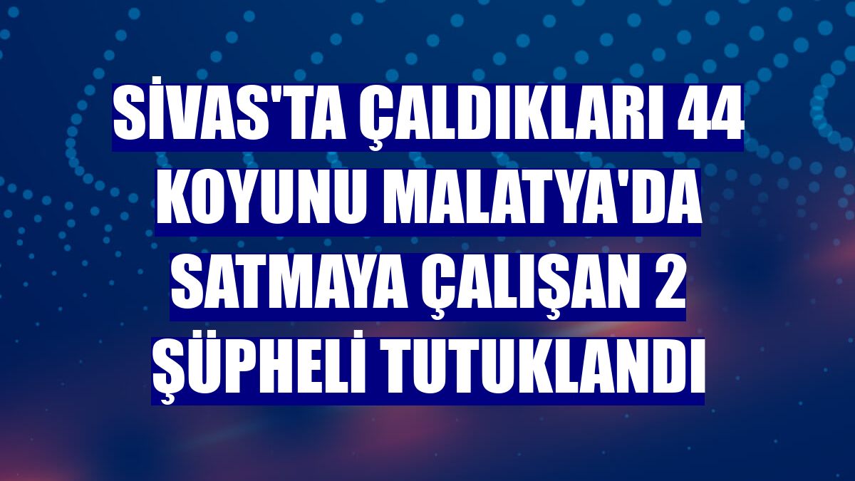 Sivas'ta çaldıkları 44 koyunu Malatya'da satmaya çalışan 2 şüpheli tutuklandı