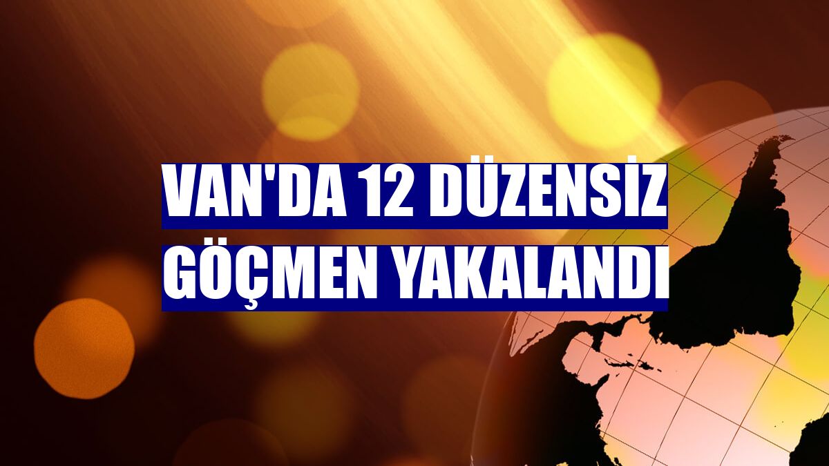 Van'da 12 düzensiz göçmen yakalandı