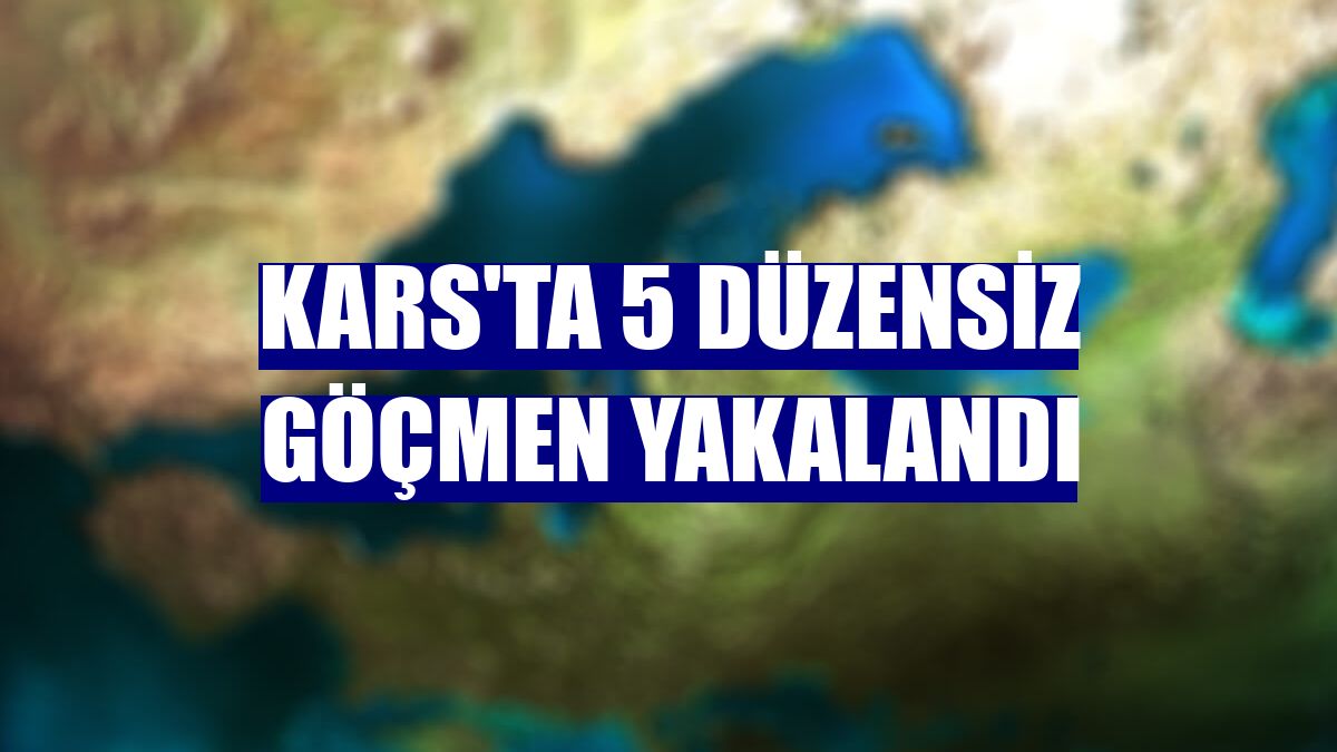 Kars'ta 5 düzensiz göçmen yakalandı
