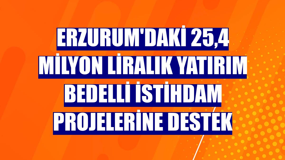 Erzurum'daki 25,4 milyon liralık yatırım bedelli istihdam projelerine destek