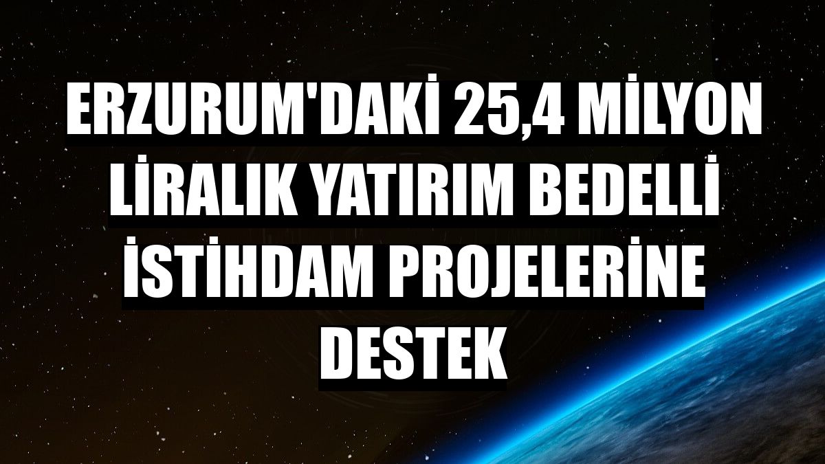 Erzurum'daki 25,4 milyon liralık yatırım bedelli istihdam projelerine destek
