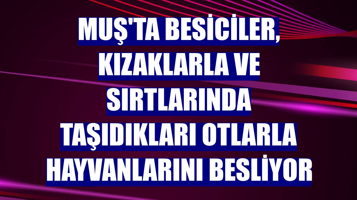 Muş'ta besiciler, kızaklarla ve sırtlarında taşıdıkları otlarla hayvanlarını besliyor
