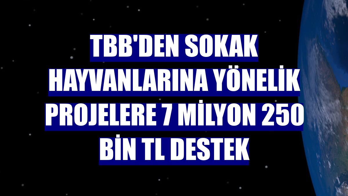 TBB'den sokak hayvanlarına yönelik projelere 7 milyon 250 bin TL destek
