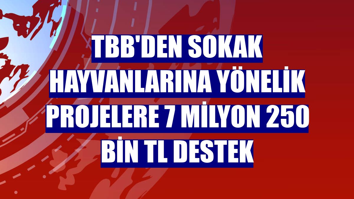 TBB'den sokak hayvanlarına yönelik projelere 7 milyon 250 bin TL destek