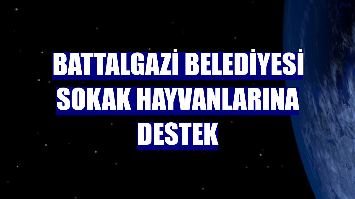 Battalgazi Belediyesi sokak hayvanlarına destek