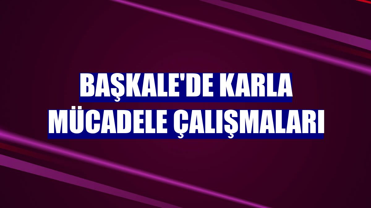 Başkale'de karla mücadele çalışmaları