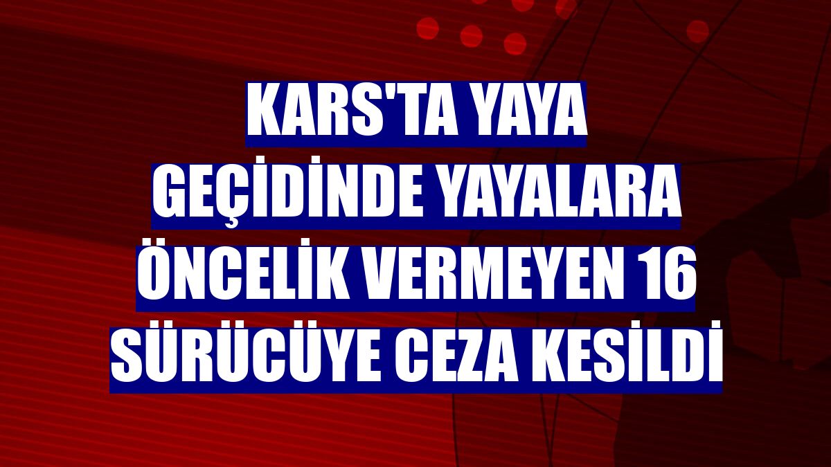 Kars'ta yaya geçidinde yayalara öncelik vermeyen 16 sürücüye ceza kesildi
