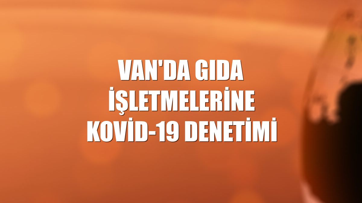 Van'da gıda işletmelerine Kovid-19 denetimi