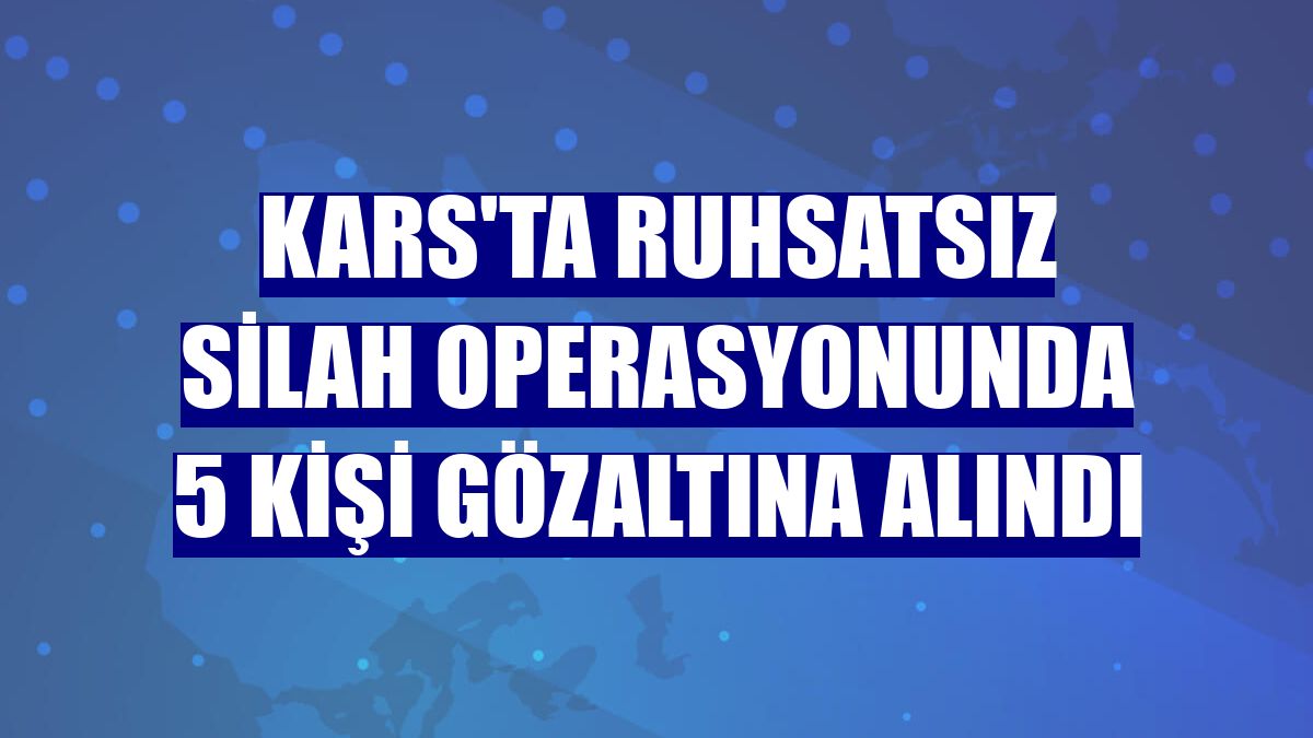 Kars'ta ruhsatsız silah operasyonunda 5 kişi gözaltına alındı