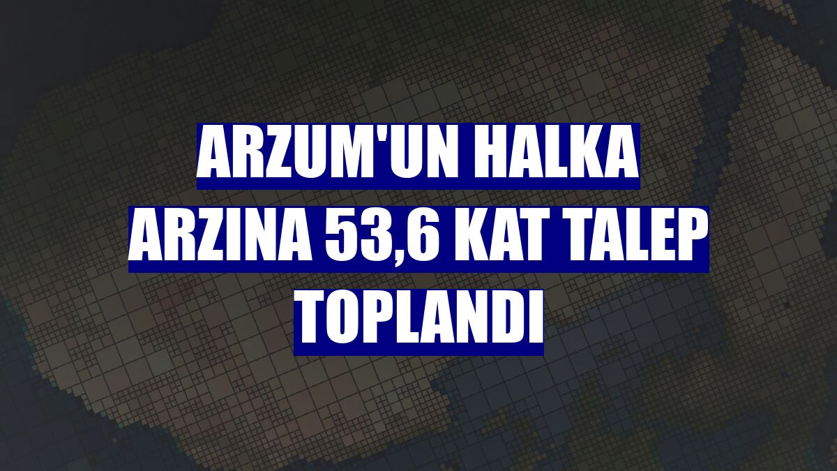 Arzum'un halka arzına 53,6 kat talep toplandı