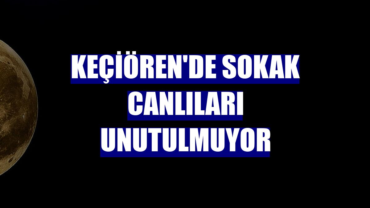 Keçiören'de sokak canlıları unutulmuyor