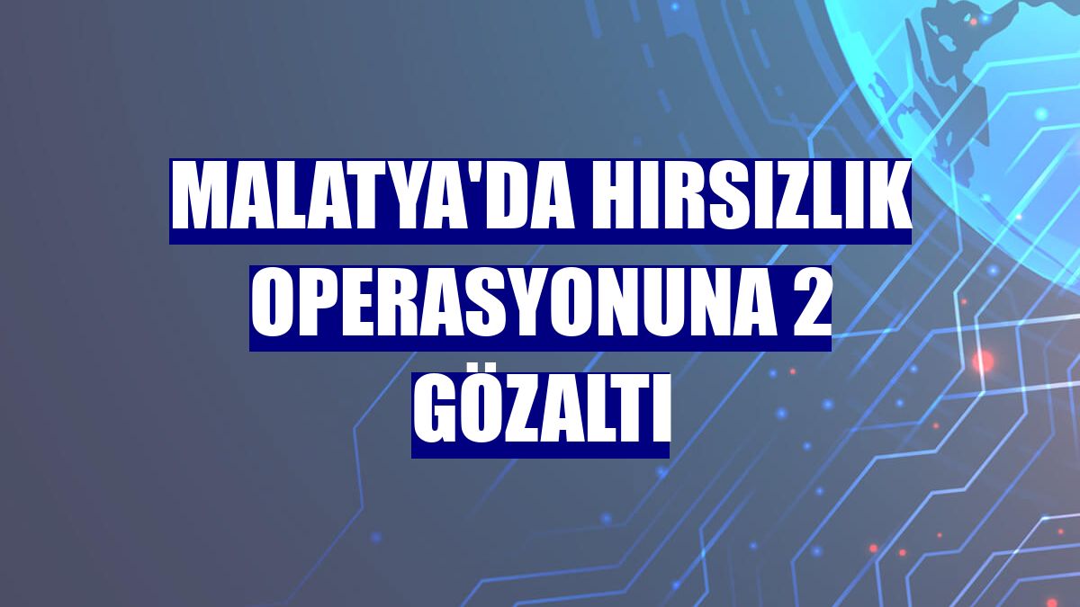 Malatya'da hırsızlık operasyonuna 2 gözaltı