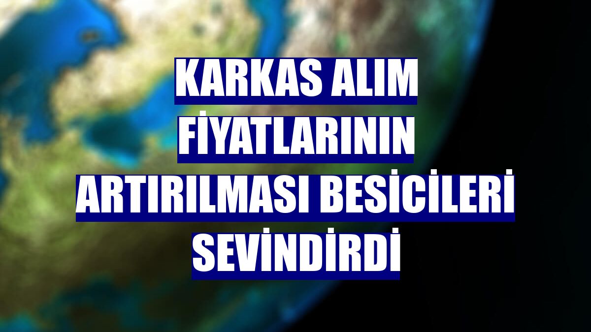 Karkas alım fiyatlarının artırılması besicileri sevindirdi Son Dakika