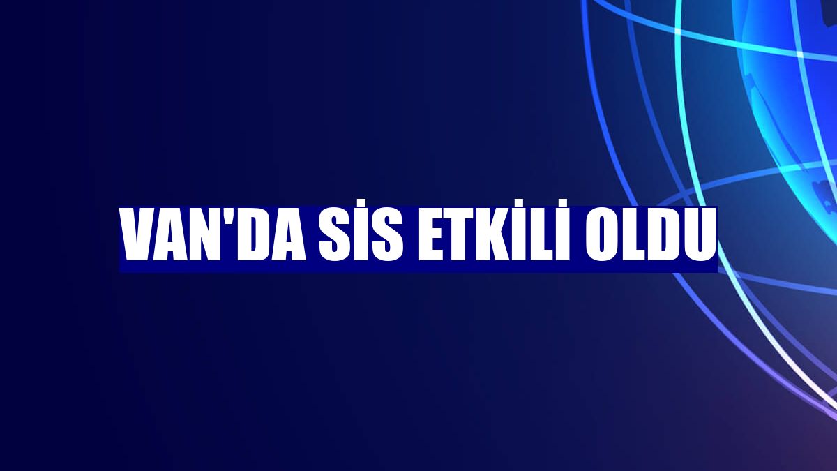 Van'da sis etkili oldu
