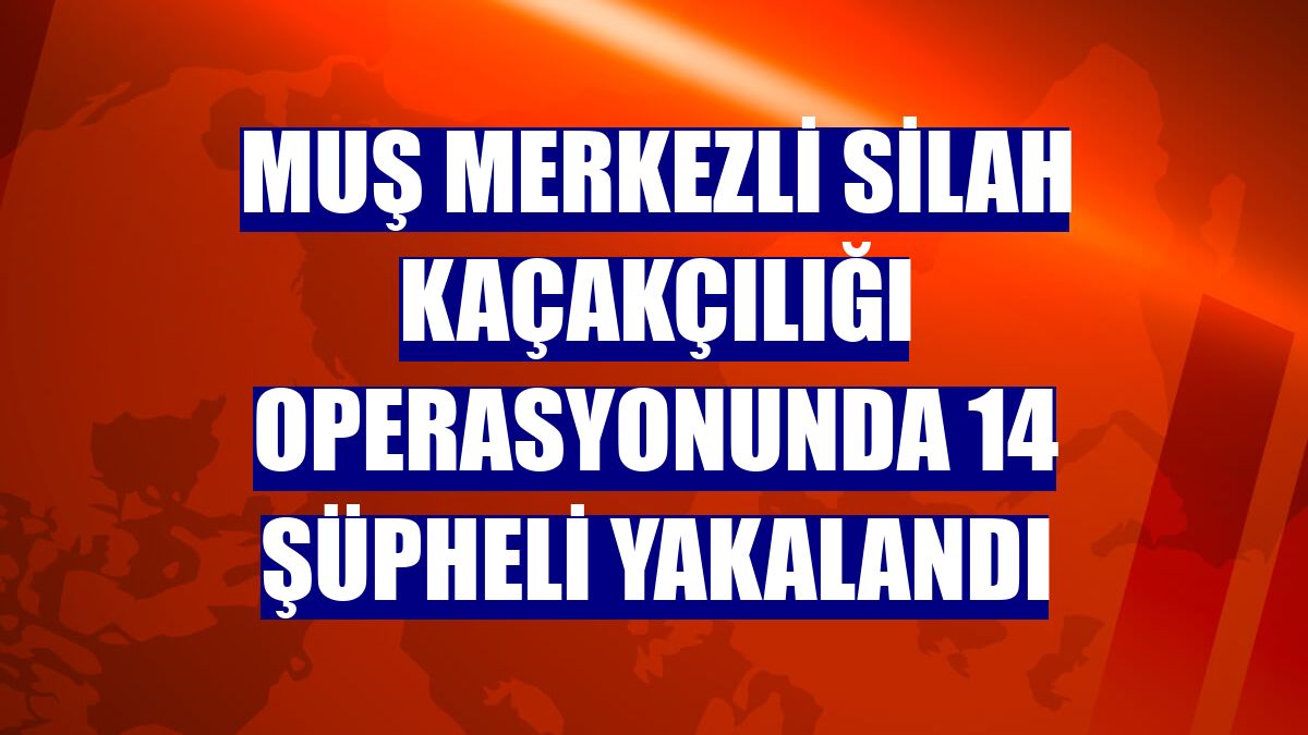 Muş merkezli silah kaçakçılığı operasyonunda 14 şüpheli yakalandı