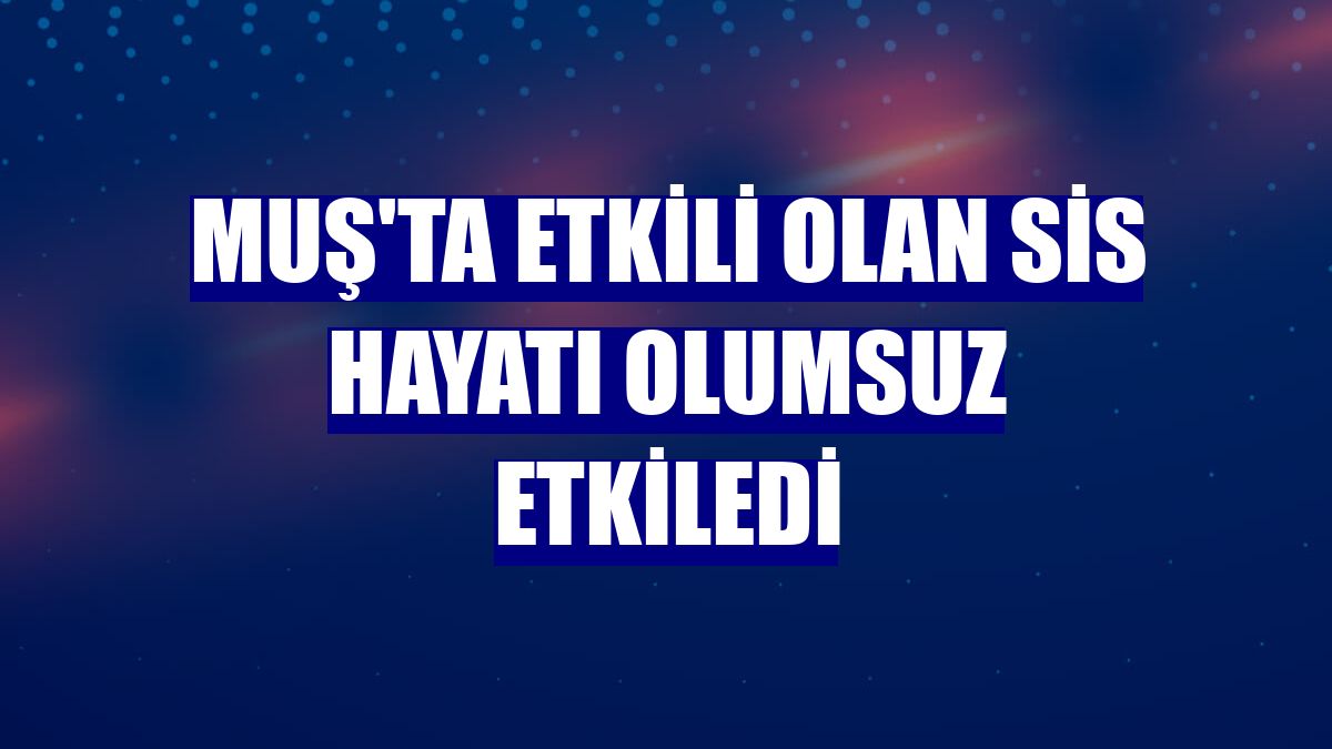 Muş'ta etkili olan sis hayatı olumsuz etkiledi