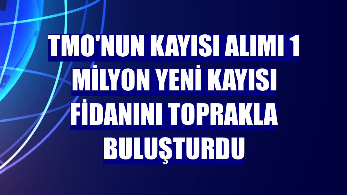 TMO'nun kayısı alımı 1 milyon yeni kayısı fidanını toprakla buluşturdu