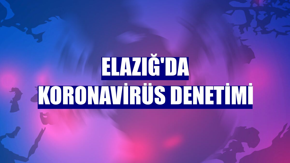 Elazığ'da koronavirüs denetimi