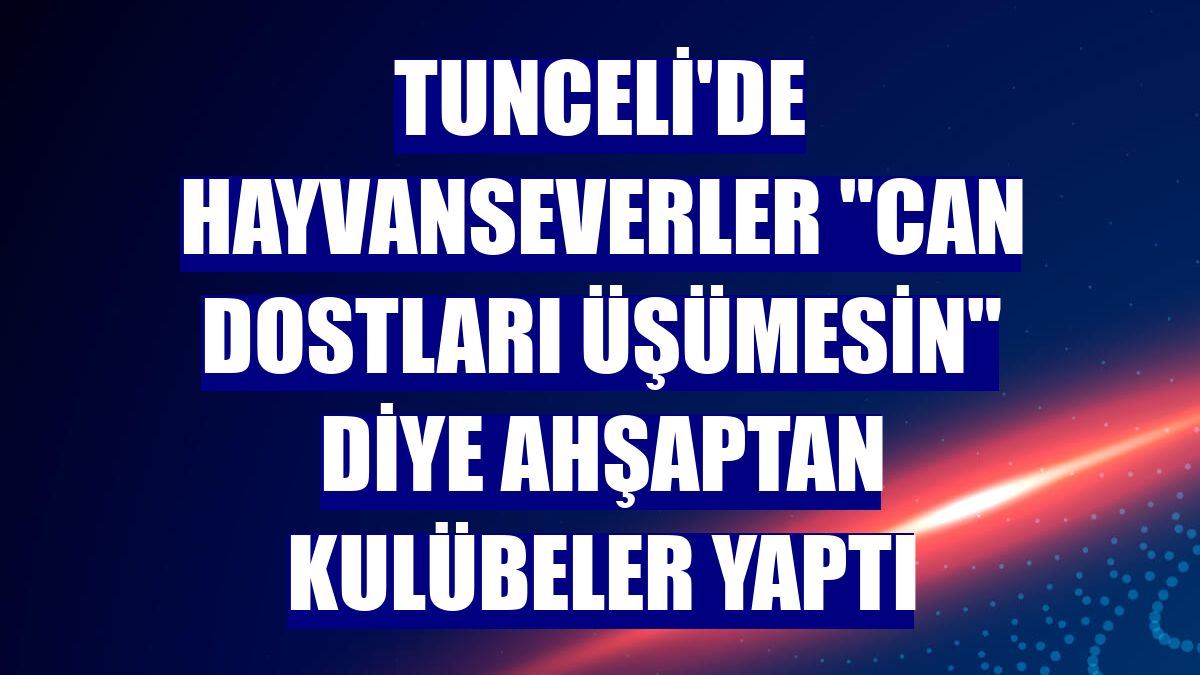 Tunceli'de hayvanseverler "can dostları üşümesin" diye ahşaptan kulübeler yaptı