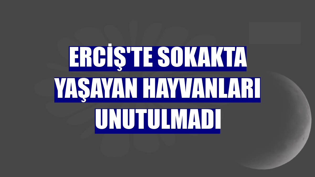 Erciş'te sokakta yaşayan hayvanları unutulmadı