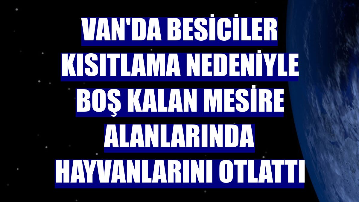 Van'da besiciler kısıtlama nedeniyle boş kalan mesire alanlarında hayvanlarını otlattı