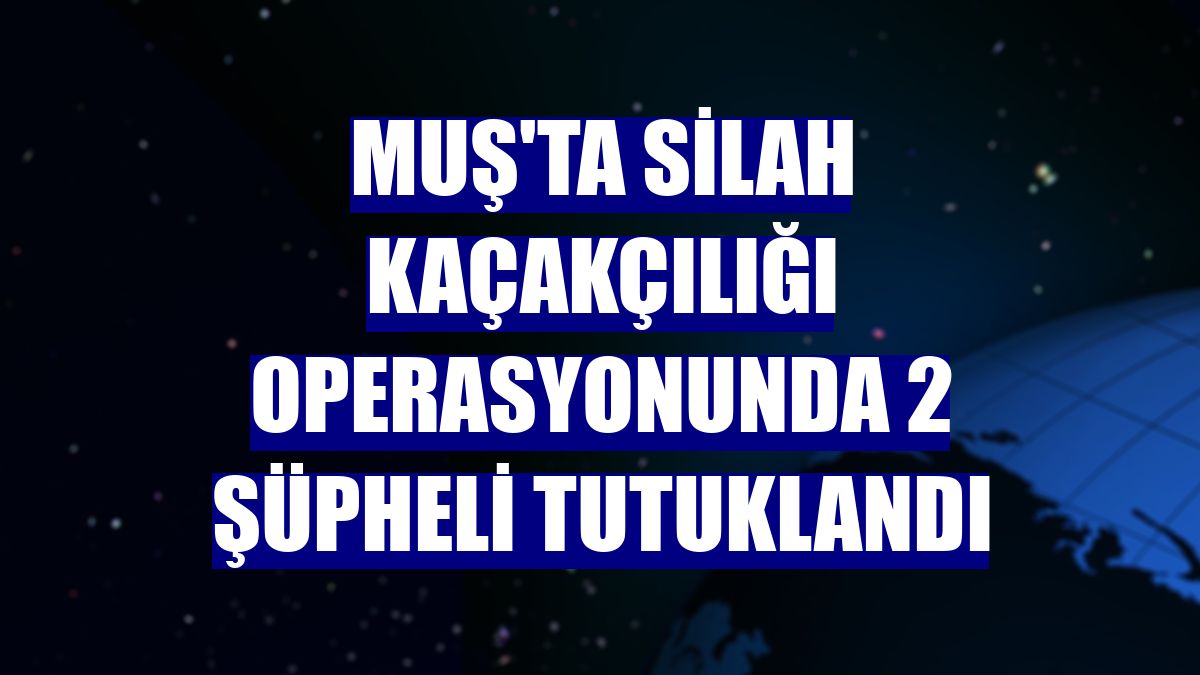 Muş'ta silah kaçakçılığı operasyonunda 2 şüpheli tutuklandı