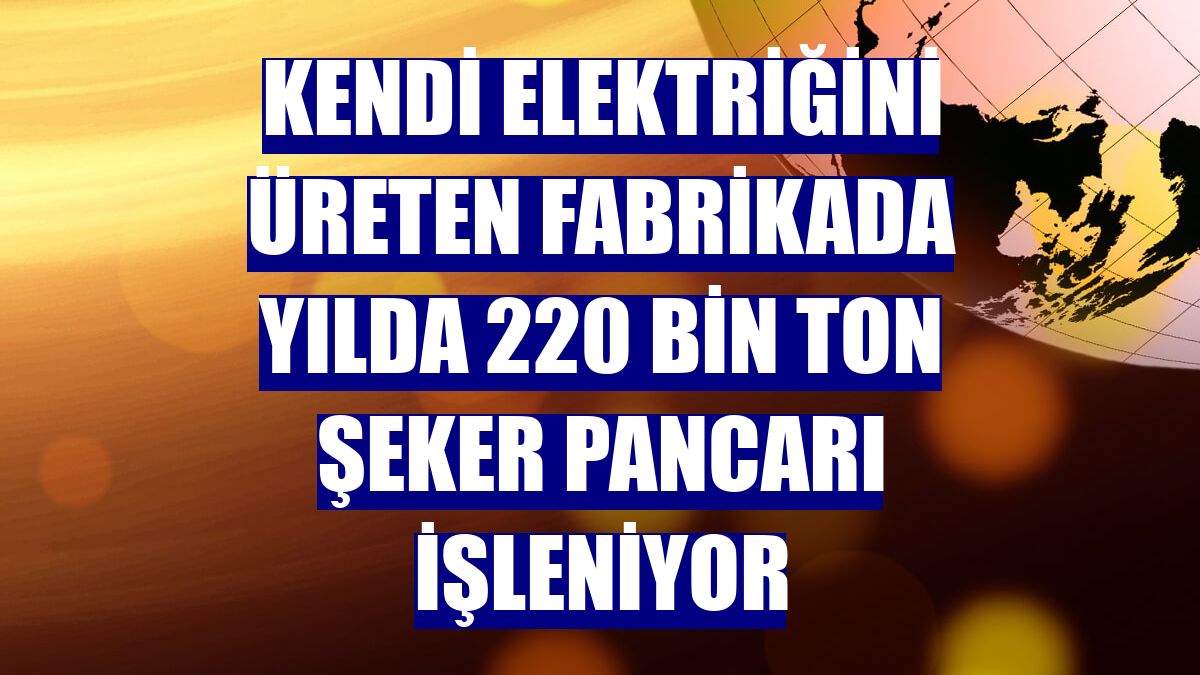 Kendi elektriğini üreten fabrikada yılda 220 bin ton şeker pancarı işleniyor