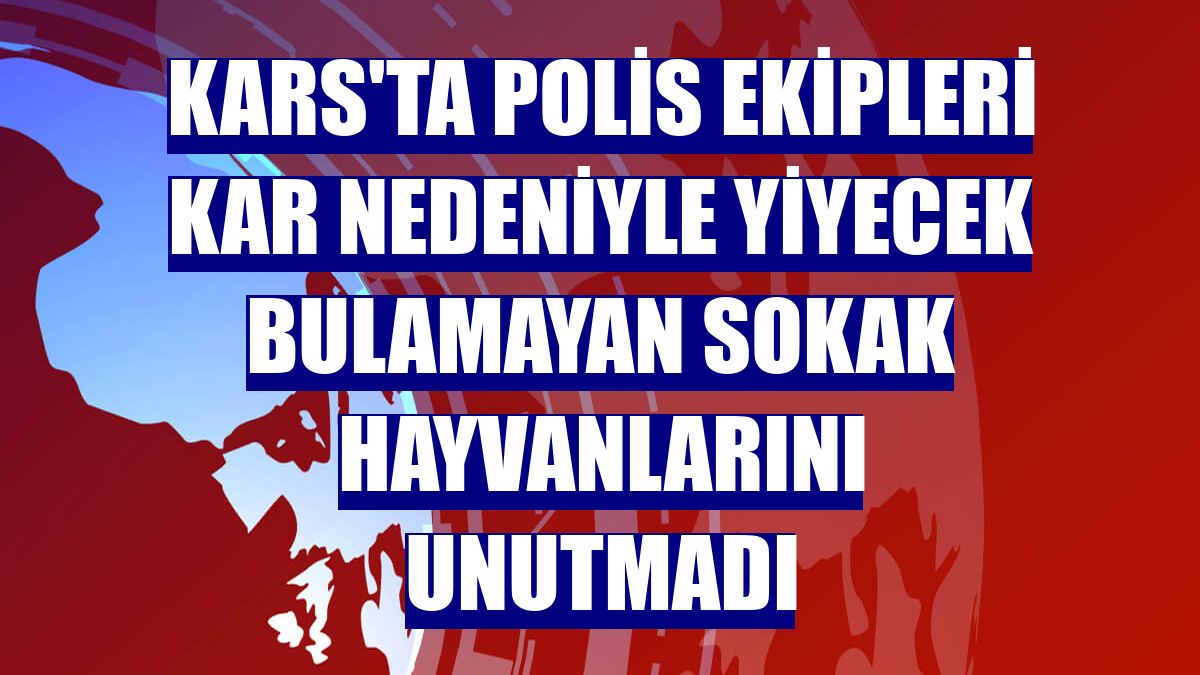 Kars'ta polis ekipleri kar nedeniyle yiyecek bulamayan sokak hayvanlarını unutmadı