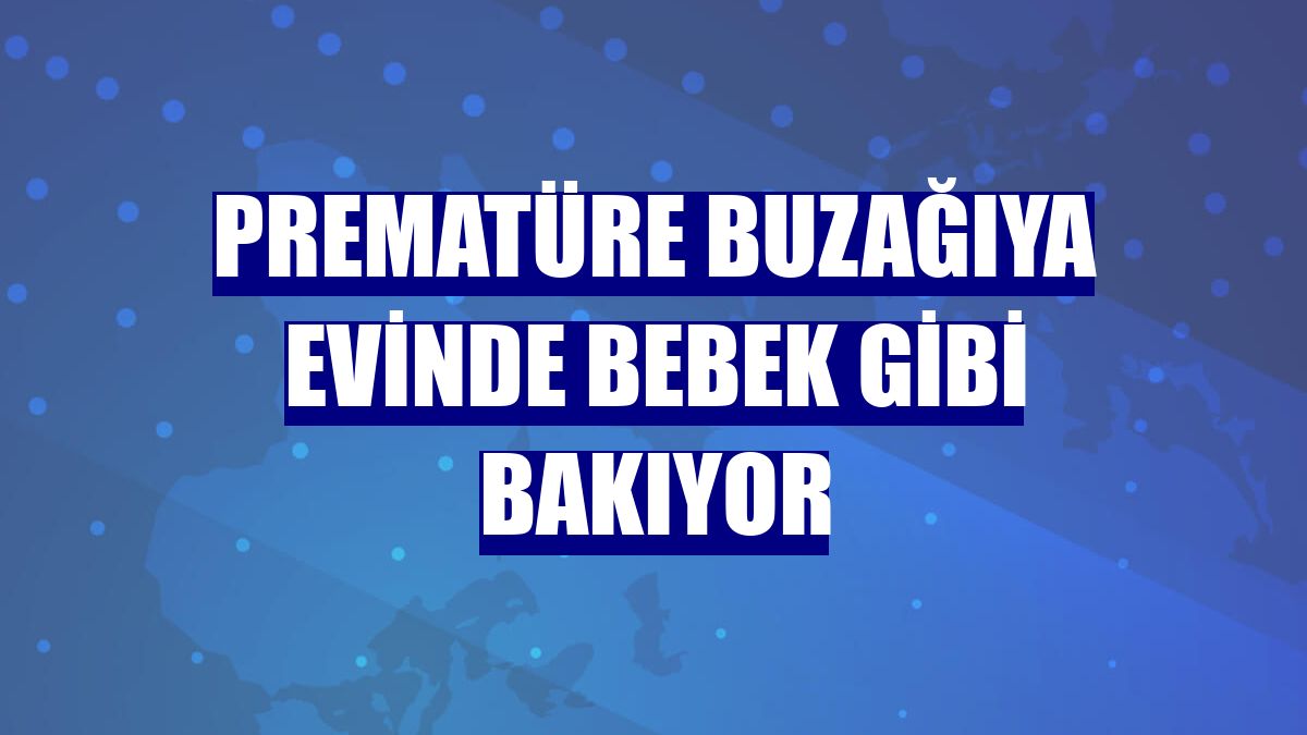 Prematüre buzağıya evinde bebek gibi bakıyor